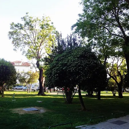 Orsula